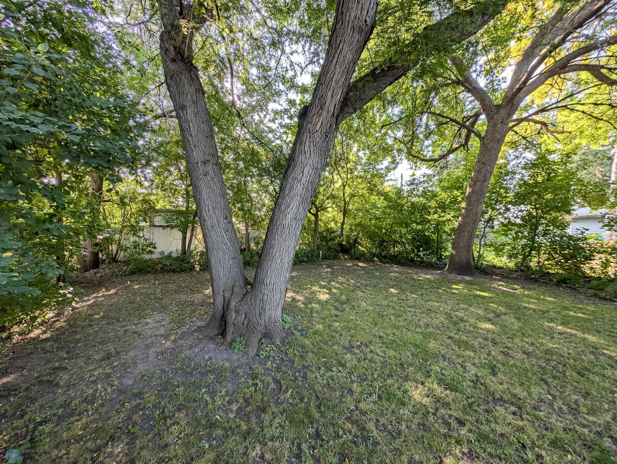 L2P062-143904116.jpg