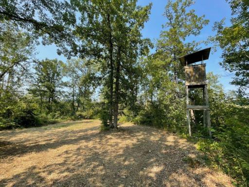 Photo for XXX Lower Tamarack Road, Bruno, MN 55712 - listing #6597739 XXX Lower Tamarack Road, Bruno, MN 55712