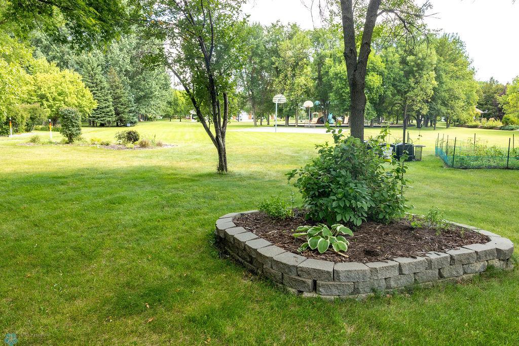 From backyard to park