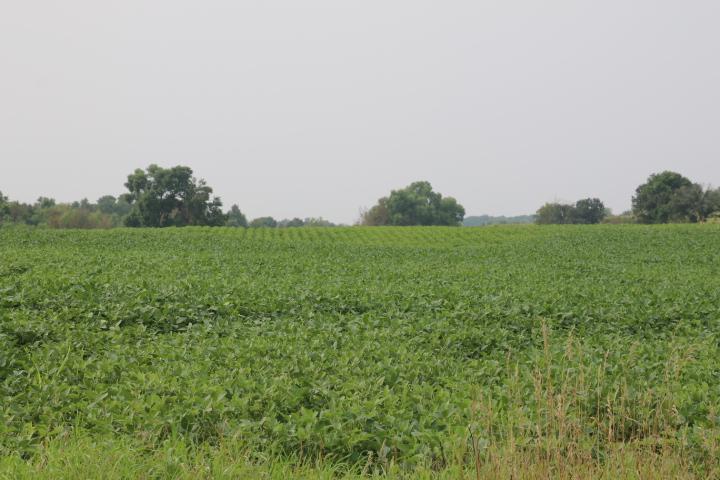IMG_5563.JPG