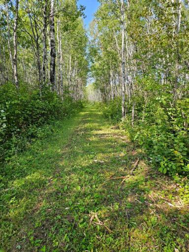 Photo for 2351 SW 35th Street SW, Baudette, MN 56623 - Listing #6598225 2351 SW 35th Street SW, Baudette, MN 56623