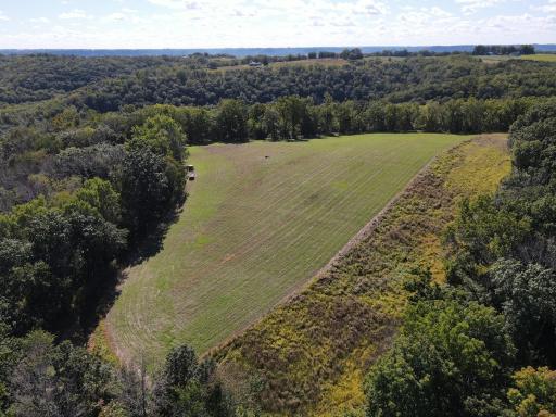 Bluff top food plot with Banks Blind and water hole