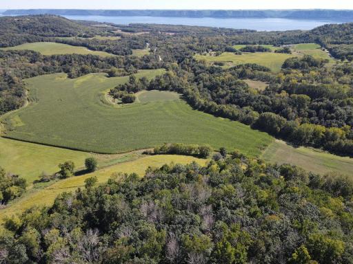 TBD Bogus Road, Pepin, WI 54759