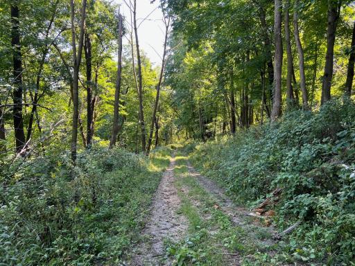 TBD Bogus Road, Pepin, WI 54759