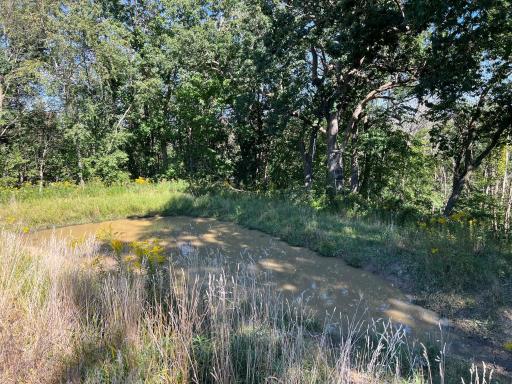 Bluff top water hole. One of several water holes on the property.