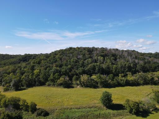 Big bluff with Banks Blind in the tree line overlooking the food plot and water hole.
