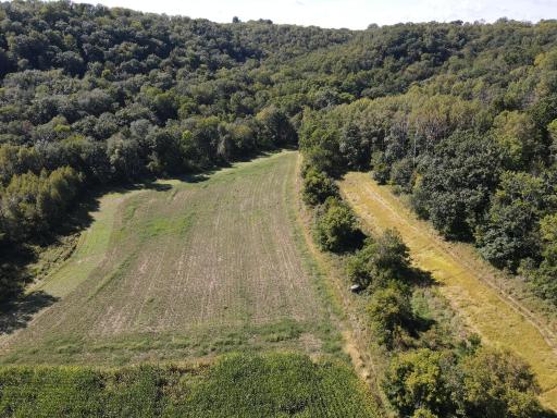 Food plots set up with beans, oats and radishes with a couple Banks Blinds