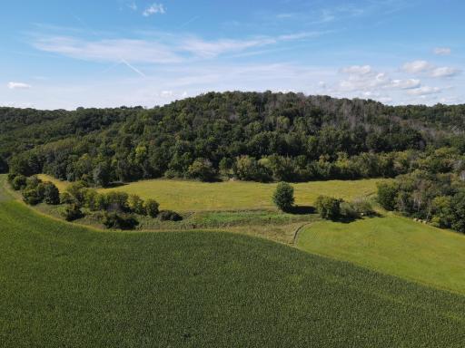 TBD Bogus Road, Pepin, WI 54759