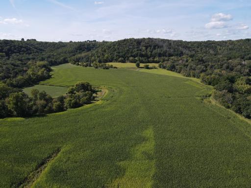 TBD Bogus Road, Pepin, WI 54759