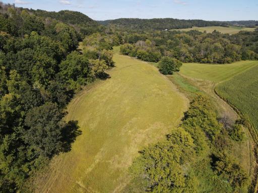 Dedicated food plot set between the bluff and tillable. This one is planted with oats and has a water hole on the East corner.