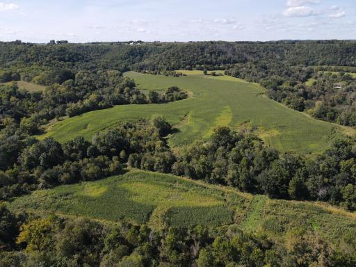 60+- acres of income producing tillable and some awesome topography