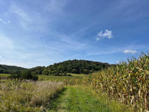 TBD Bogus Road, Pepin, WI 54759