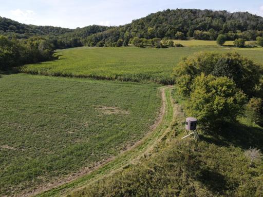 TBD Bogus Road, Pepin, WI 54759