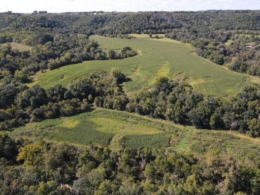 TBD Bogus Road, Pepin, WI 54759