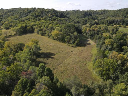 Southwest food plot planted in radishes and clover