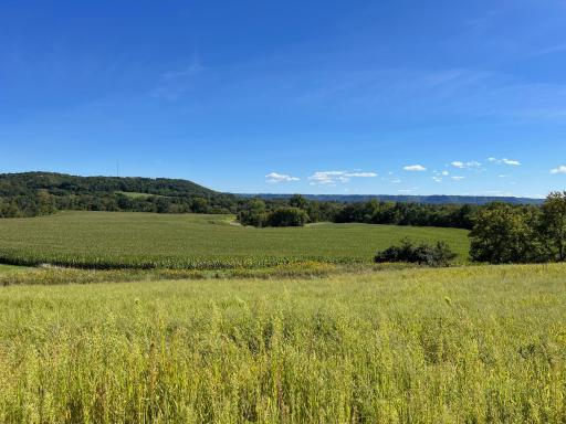 TBD Bogus Road, Pepin, WI 54759