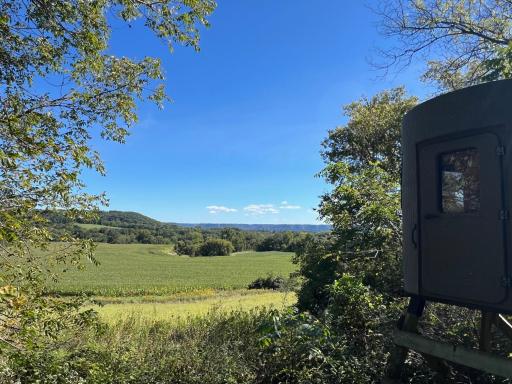 Unbelievable view from this hunting blind