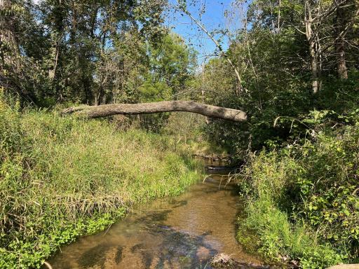 Bogus Creek flows along the SE border of the property.