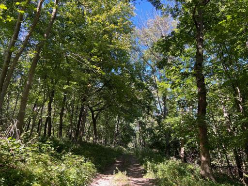 TBD Bogus Road, Pepin, WI 54759