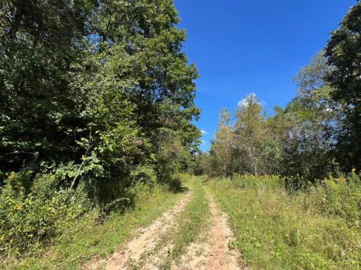 TBD Bogus Road, Pepin, WI 54759