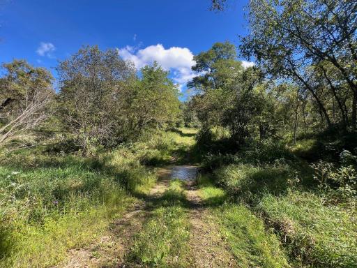 TBD Bogus Road, Pepin, WI 54759