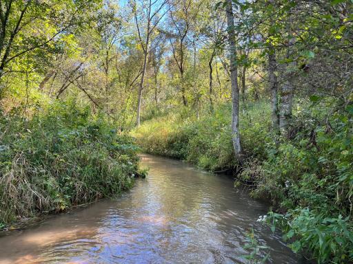 Bogus Creek with over 1500+ feet of creek frontage
