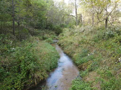 Bogus Creek flows across the East side of the property.