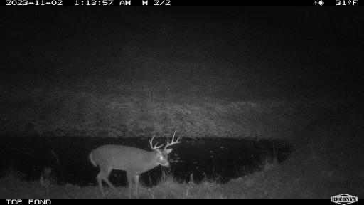 TBD Bogus Road, Pepin, WI 54759