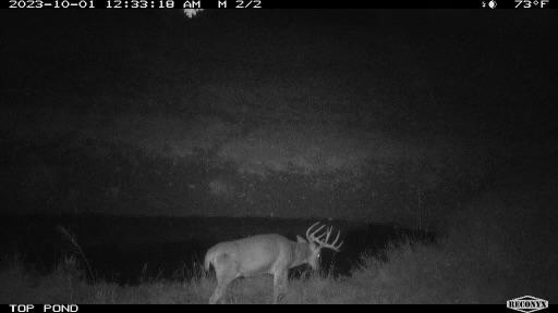 TBD Bogus Road, Pepin, WI 54759