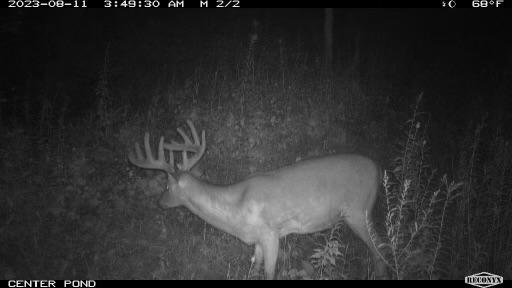 TBD Bogus Road, Pepin, WI 54759