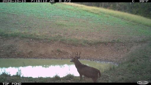 The water holes hold the big ones on the property