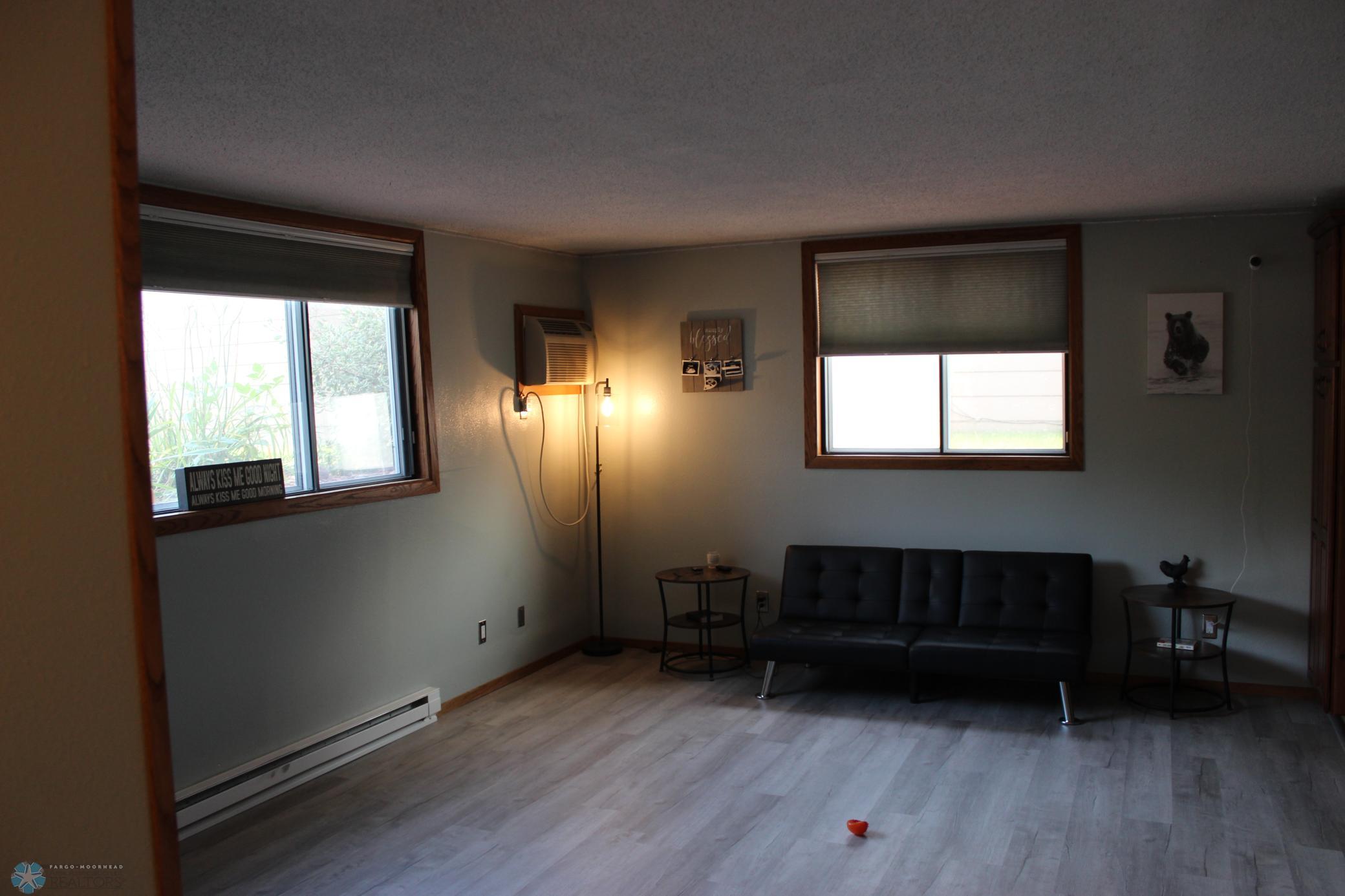 Lower Living Room