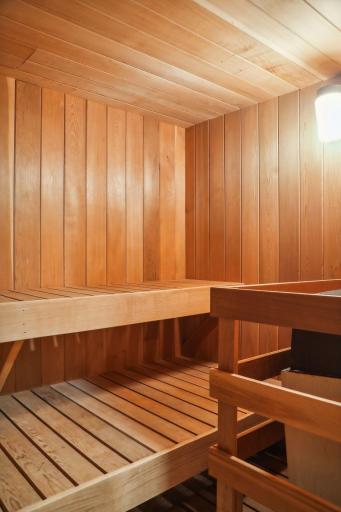 Lower Level Sauna