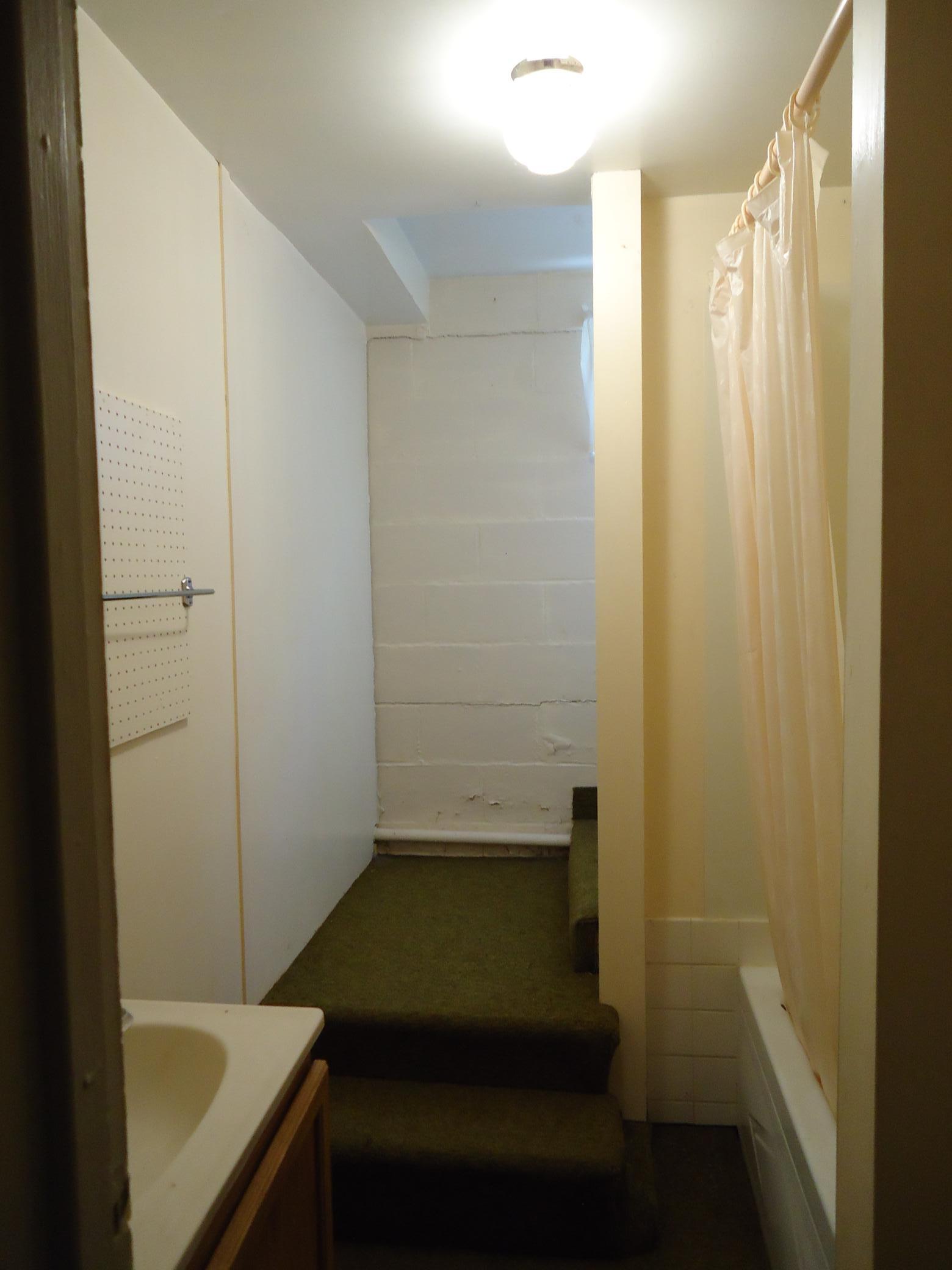 Basement Bathroom
