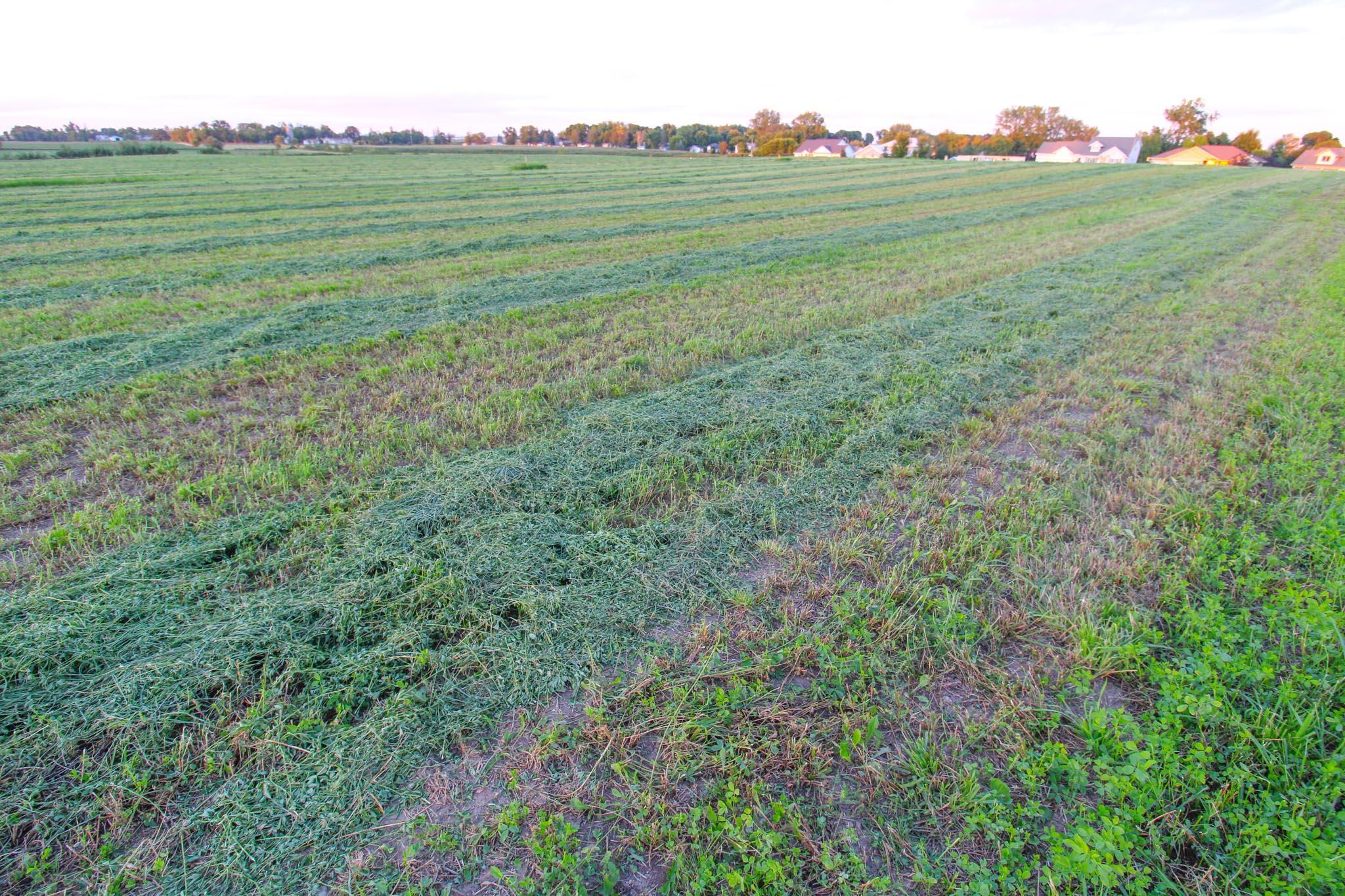 City Lots Available