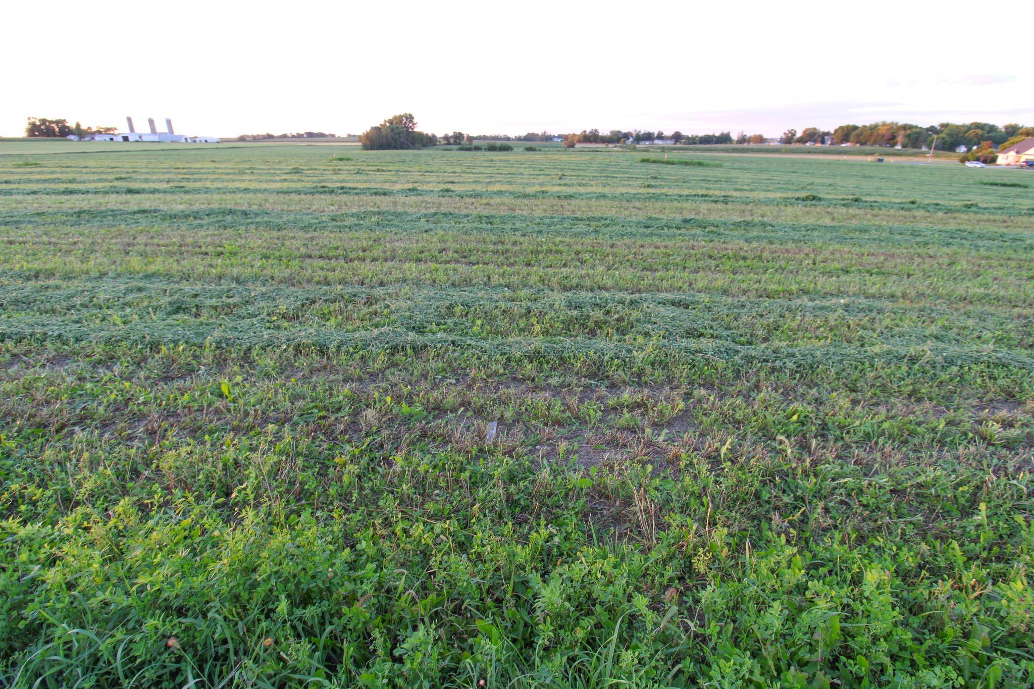 City Lots Available