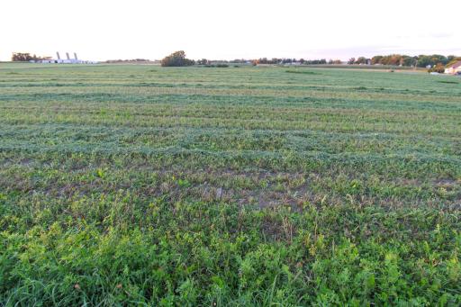 City Lots Available