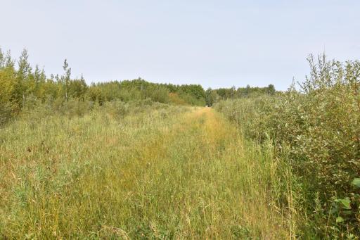 8324 60th Street NW, Williams, MN 56686