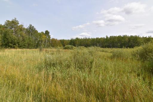 8324 60th Street NW, Williams, MN 56686