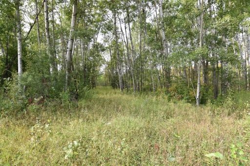 8324 60th Street NW, Williams, MN 56686