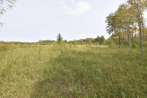 8324 60th Street NW, Williams, MN 56686