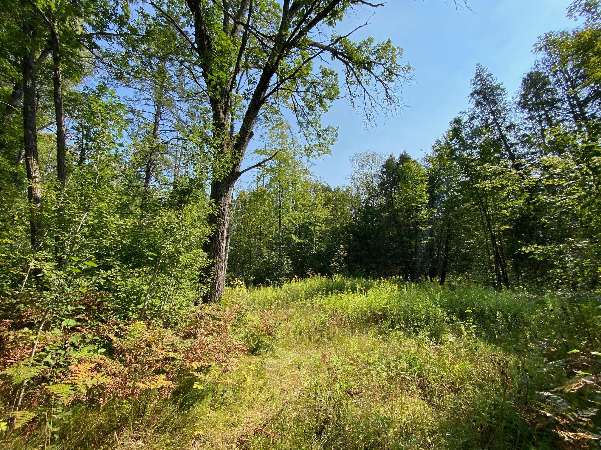 IMG_9808.JPG