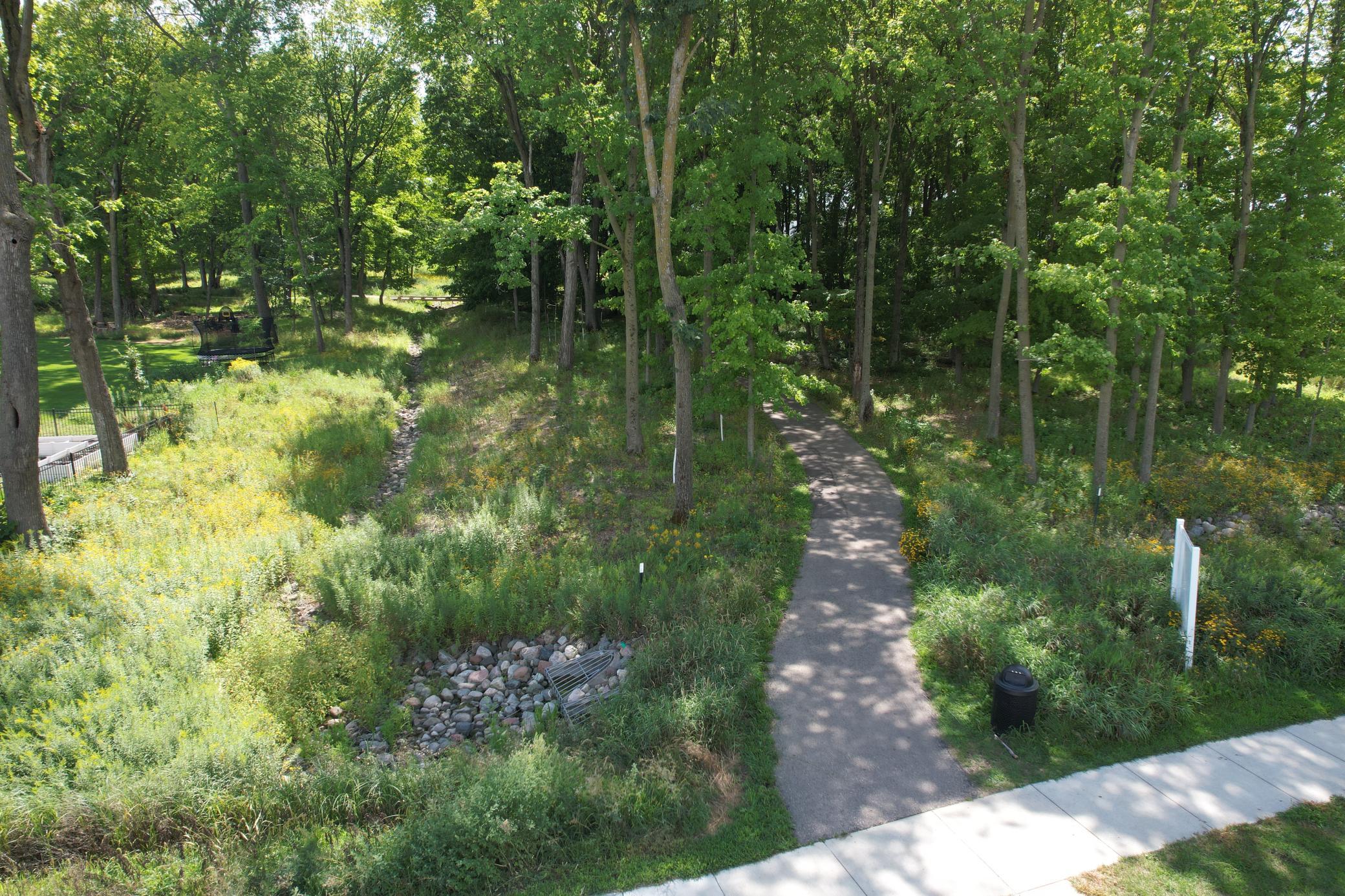 The Meadows Blacktopped Trails