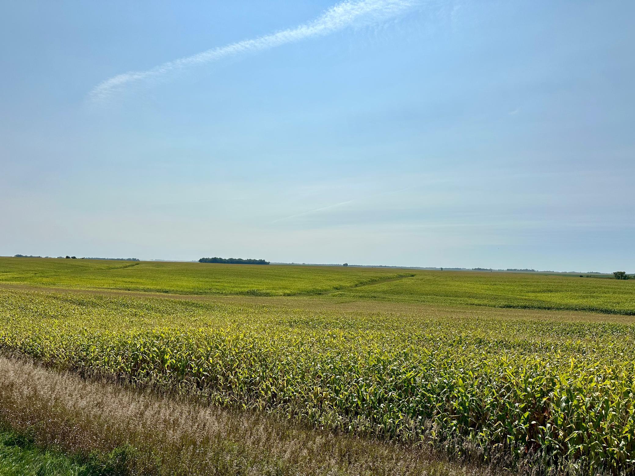 Tract 1 - 2024 Corn