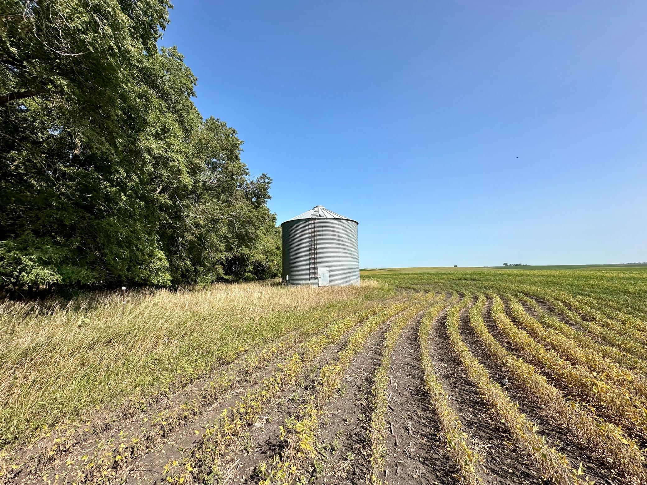 Tract 2 - 7,000 bushel grain bin