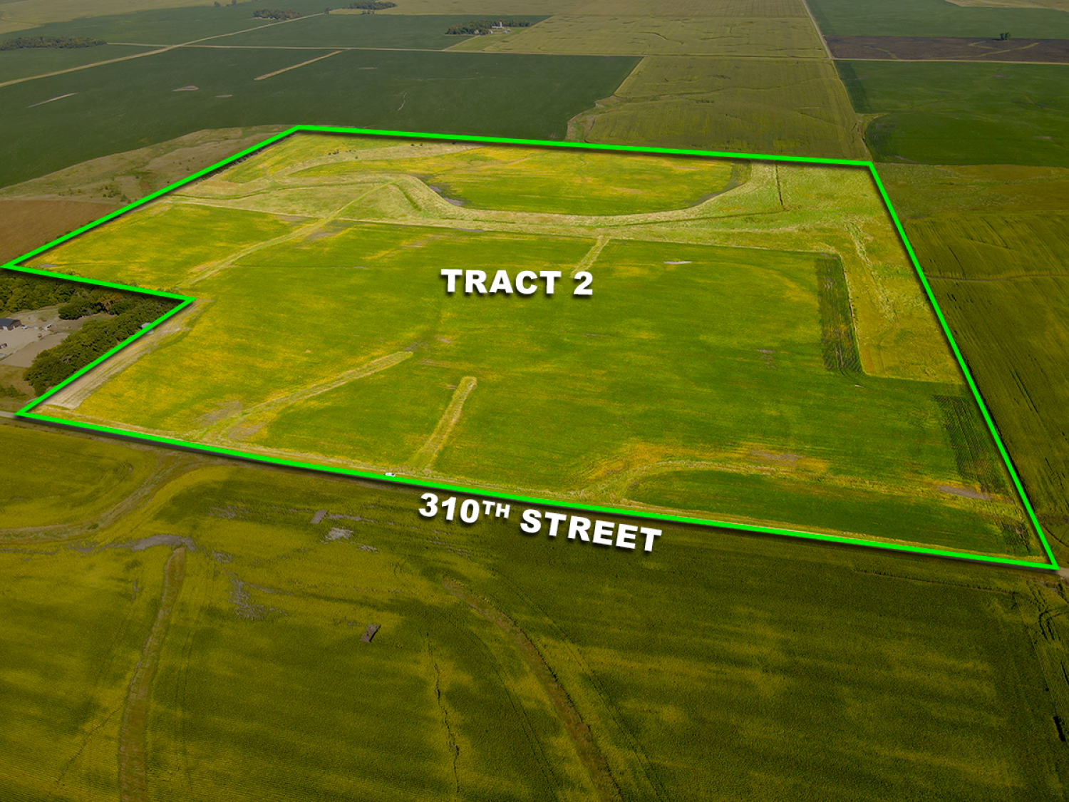 Tract 2 - 151.02 +/- Acres