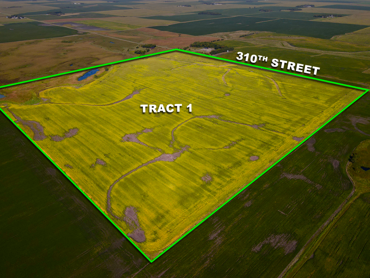 Tract 1 - 160 +/- Acres