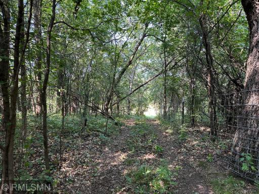 16490 State Highway 55 NW, South Haven, MN 55382