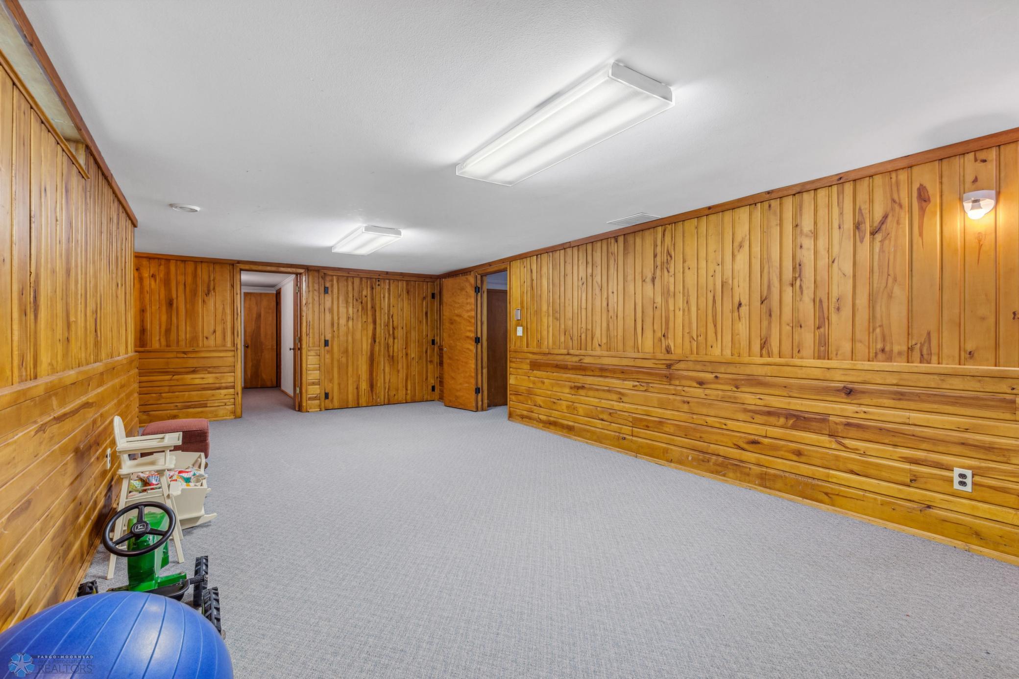 Basement Family Room