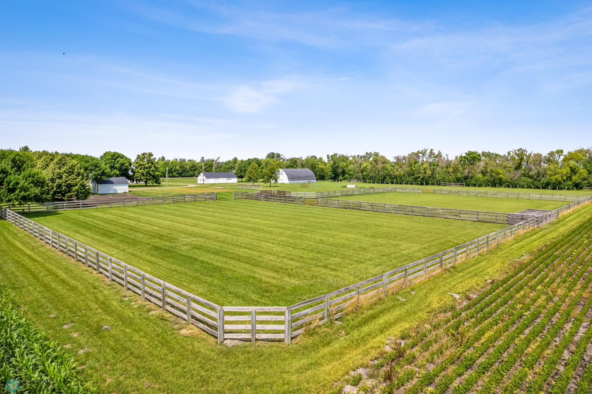 Pasture 1